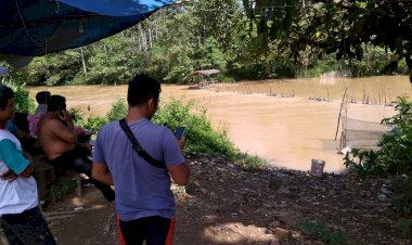 Warga Desa Pudak Muarojambi Geger, Buaya Besar Tampakkan Diri