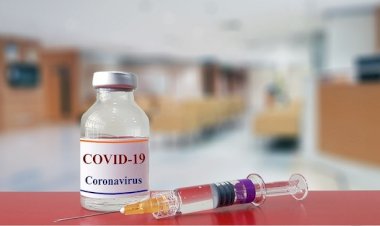 Sudah Beredar di Pasaran, Ini Obat yang Bisa Bunuh Virus Corona dalam Waktu 48 Jam