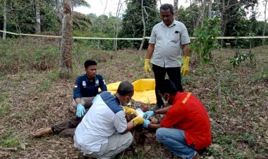 Miris, Pria Asal Pelawan Sarolangun Ini Ditemukan Tewas di Area Perkebunan