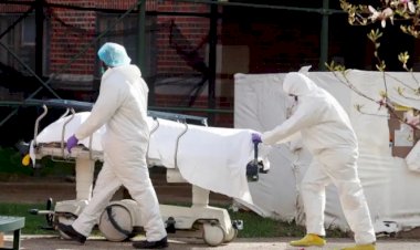 Angka Kematian di Amerika akibat COVID-19 Capai 16.400