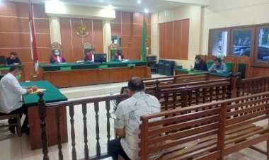 Terlibat Pembakaran Hutan, PT ATGA Jambi Didenda Rp 430 Miliar