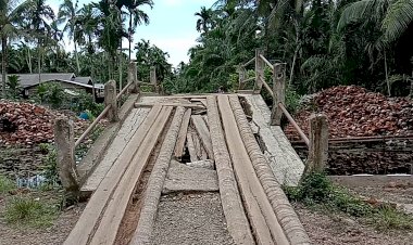 Pak Bupati, Jembatan di Desa Jati Mas Ini Rusak Parah