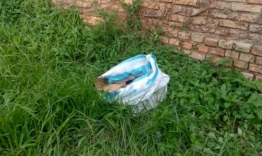 Heboh, Warga Rawasari Kota Jambi Temukan Mayat Bayi di Dalam Kardus