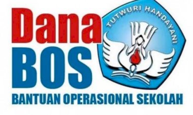 Dirjen PAUD Heran Mengapa Guru Honorer Sudah Lama Mengabdi Tak Didaftarkan ke Dapodik?