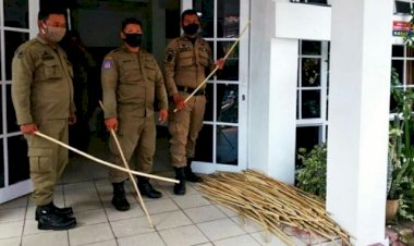 Viral! Mirip Polisi India, Satpol PP Ini Dibekali Rotan Lakukan PSBB