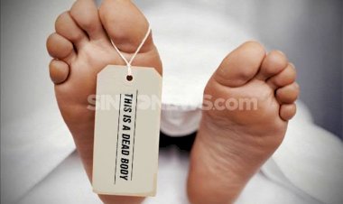 Tertimpa Dahan Pohon, Pekerja Listrik di Sarolangun Ini Tewas