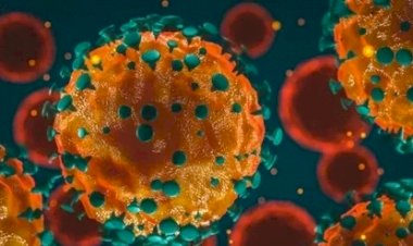 Risma Sikapi Kluster Baru Kasus COVID-19 Sampoerna: Bermula Karyawan PDP Tak Jujur