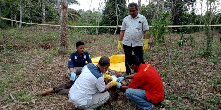 Miris, Pria Asal Pelawan Sarolangun Ini Ditemukan Tewas di Area Perkebunan