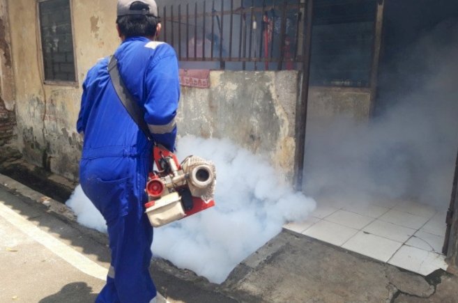 Meski Pandemi COVID-19, Jubir Pemerintah: Waspadai Demam Berdarah