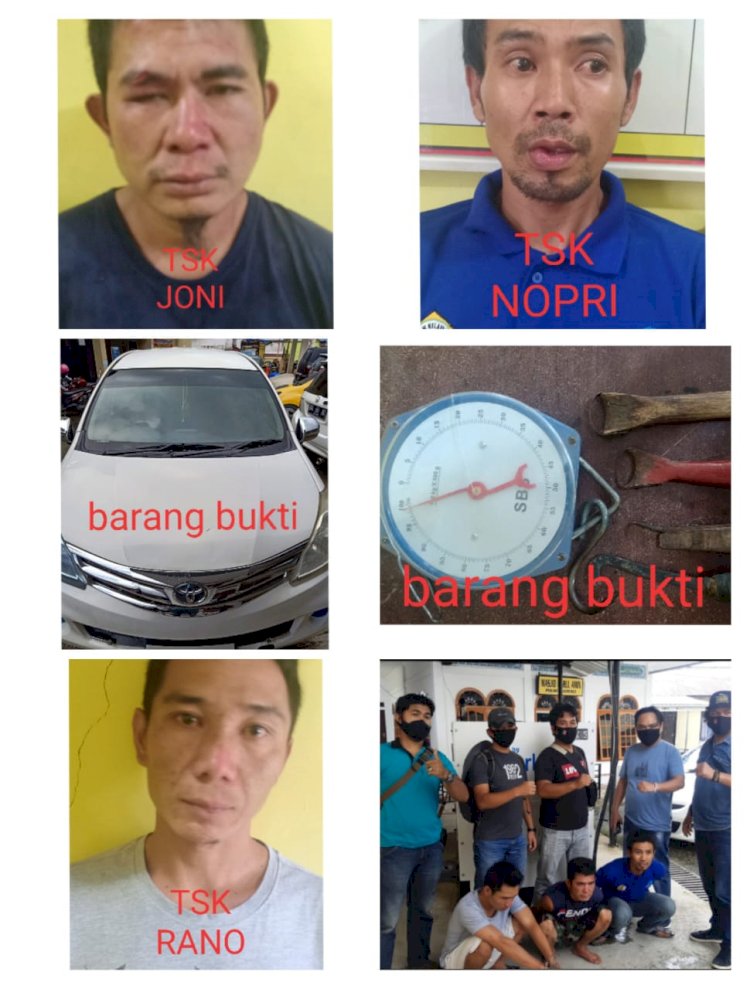 Kerap Resahkan Warga, Tiga Pencuri Kulit Manis di Kerinci Ditangkap Polisi