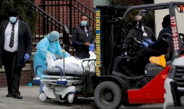 COVID-19 Amerika: Positif 1.031.659 Orang dengan 60.057 Kematian