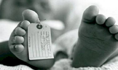 Wanita Ini Kena Prank Bingkisan Kardus Sepatu Ternyata Jasad Bayi