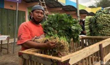 Viral Pedagang Buang Sayur di Malang Gara-gara Corona, Kini Diborong Pemkab untuk Dapur Umum