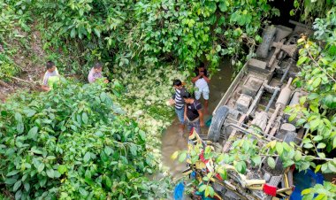 Rem Blong, Truck Pembawa Sayur Ini Terjun ke Jurang