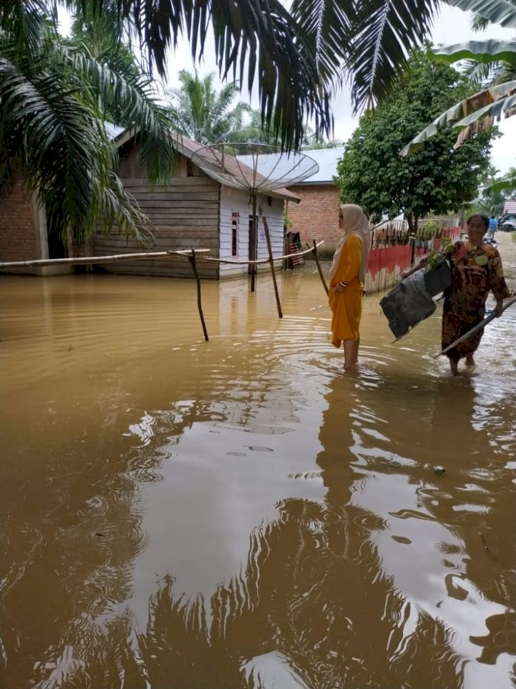 Dilanda Hujan Deras Beberapa Hari Terakhir, Belasan Rumah Warga di Desa Batuampar Sarolangun Terendam Banjir