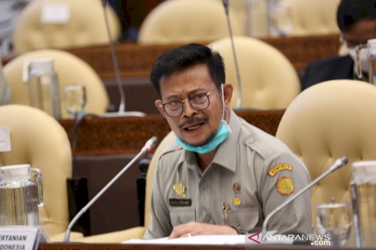 2021 Kementan Targetkan Produksi Padi capai 63,5 Juta Ton