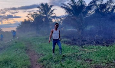 Karhutla di Muarojambi, 3 Hektare Lahan Gambut Terbakar