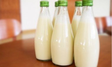 Penelitian: Minum Susu Mentah Bisa Sebabkan Penyakit