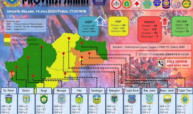Pasien Positif Corona Meninggal Bertambah di Jambi, Johansyah: dari Kabupaten Batanghari