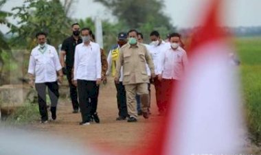 Jokowi Minta 18 Lembaga Ini Dibubarkan, Begini Nasib Karyawan?