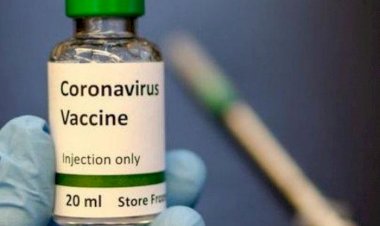 Jokowi Minta Vaksin Covid-19 Selesai Tiga Bulan, Tim: Enggak Bisa Tiga Bulan karena Harus Hati-hati