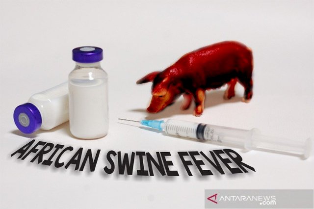 Temuan Virus Flu Babi Publikasi China Berbahaya, Begini Langkah Kementan