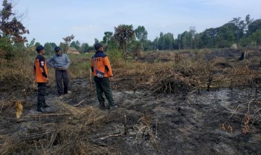 Karhutla Mulai Mengancam Muarojambi, Lahan Milik Warga Sekernan Terbakar