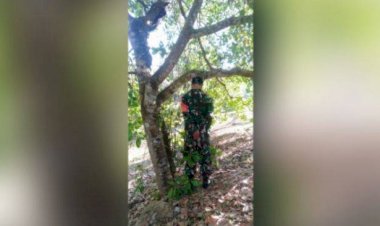 Anggota TNI Ditemukan Tewas Tergantung di Pohon Jambu Mete, Posisi Tangan Terikat ke Belakang