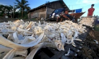 Inovasi Gelatin Ikan IPB University Solusi Jaminan Produk Halal