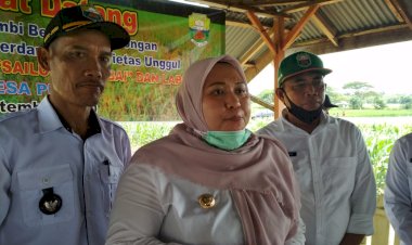 2 Kelurahan dan 1 Desa di Muarojambi Ini Kecipratan Dana Rp 1 Miliar, Ini Penjelasannya