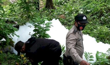 Geger Busa Raksasa Keluar dari Tanah di Sijunjung Sumbar dan Membeku