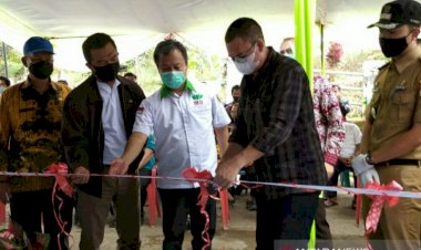 Yuk! Intip Desa Wisata Sekolah Kopi di Pagaralam