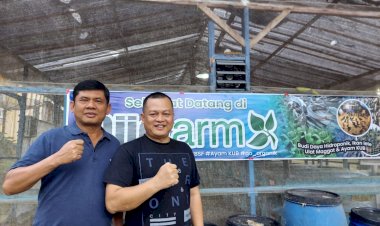 Sambangi Merangin, Syafril Nursal Tinjau Pengembangan Budidaya Ayam Kampung Unggul