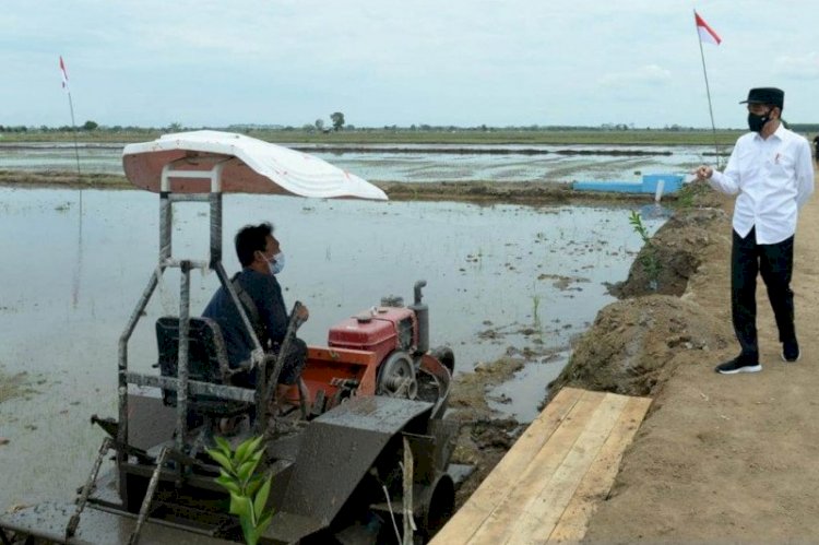 Presiden Jokowi Ingatkan Fenomena La Nina, Ini Kawasan Terdampak