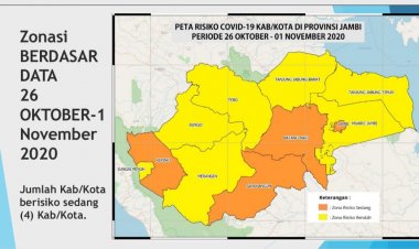 Pasien Sembuh Bertambah 7 Orang, Tujuh Daerah di Jambi Turun Jadi Zona Kuning
