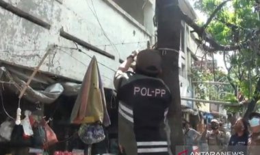 Jakarta Timur Perketat Protokol Kesehatan di Pasar Ikan Jatinegara: Tren Ikan Cupang Bikin Ramai