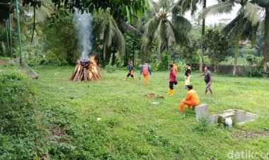 Miliaran Semut Meneror di Banyumas, Begini Kata Pakar