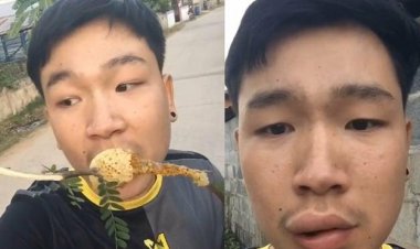 Viral! Pemuda Nekat Makan Madu Langsung dari Sarang Lebah, Auto Ngakak