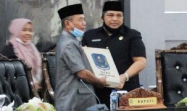 Wabup: Pemerintah Wajib Melindungi Perempuan dan Anak