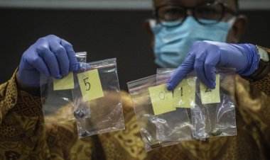 Komnas HAM Segera Umumkan Runtut Kronologis kejadian Tol Japek KM 50