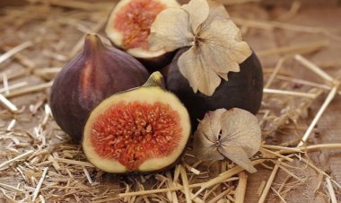 Ini Dia 10 Manfaat Buah Tin