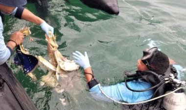 Terdaftar di Manifest SJY 182, Sarah Beatrice Ternyata Masih Hidup, Kok Bisa?