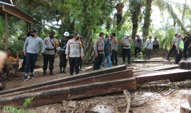 Ratusan Kayu Meranti Tanpa Dokumen Diamankan Polisi di Muarojambi