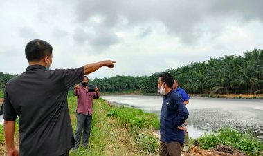 Sidak ke PT BBS, Ini Hasil Temuan DPRD Muarojambi