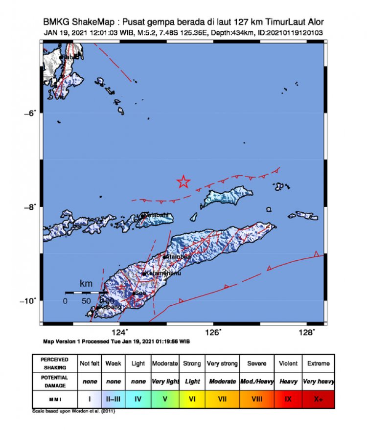 Giliran Alor NTT Diguncang Gempa Bumi 5,2 Magnitudo