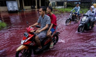 Viral Banjir Mirip Darah di Pekalongan, Ternyata Ini Penyebabnya....