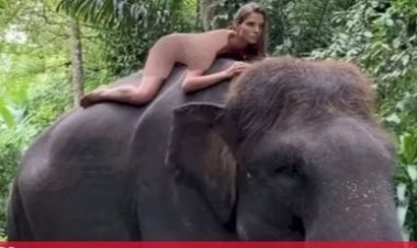 Influencer Rusia Ini Bikin Geram Netizen, Usai Pose Bugil Naik Gajah di Bali