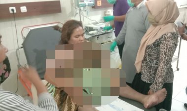 Ribut Akibat TV Rusak, IRT di Muarojambi Ini Nekat Bakar Diri dan Anaknya