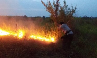 Lahan Gambut di Kecamatan Kumpeh Terbakar, Polisi: Penyebab Kebakaran Belum Diketahui