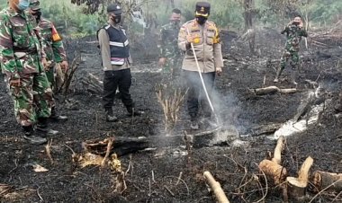 Karhutla Kembali Terjadi di Muarojambi, 1,5 Hektare Lahan Karet Hangus Terbakar
